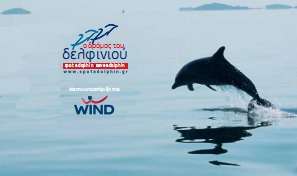Ο Δρόμος του Δελφινού