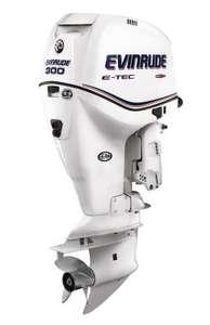 E-TEC E300DCX