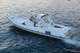 Charme 32