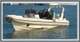 31 OPEN-CABIN SPORT